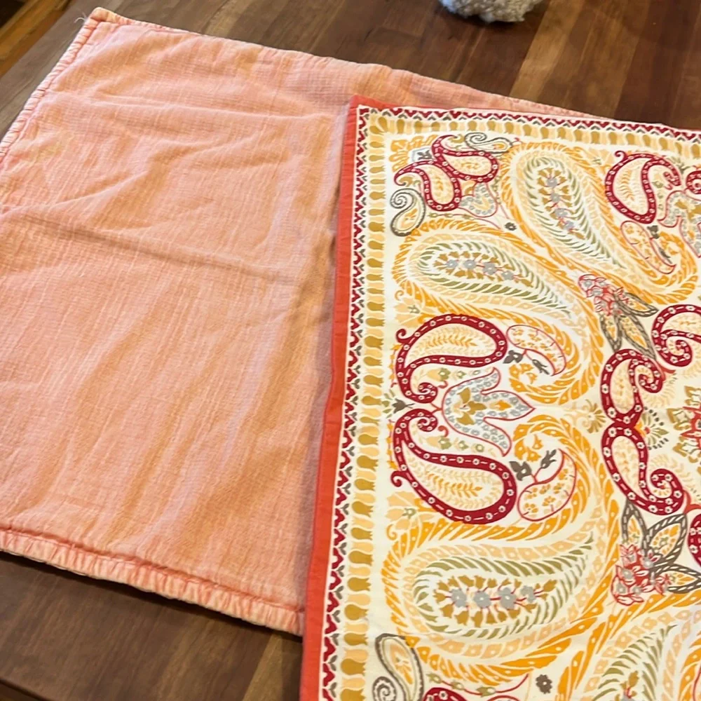Pottery Barn shams🧡